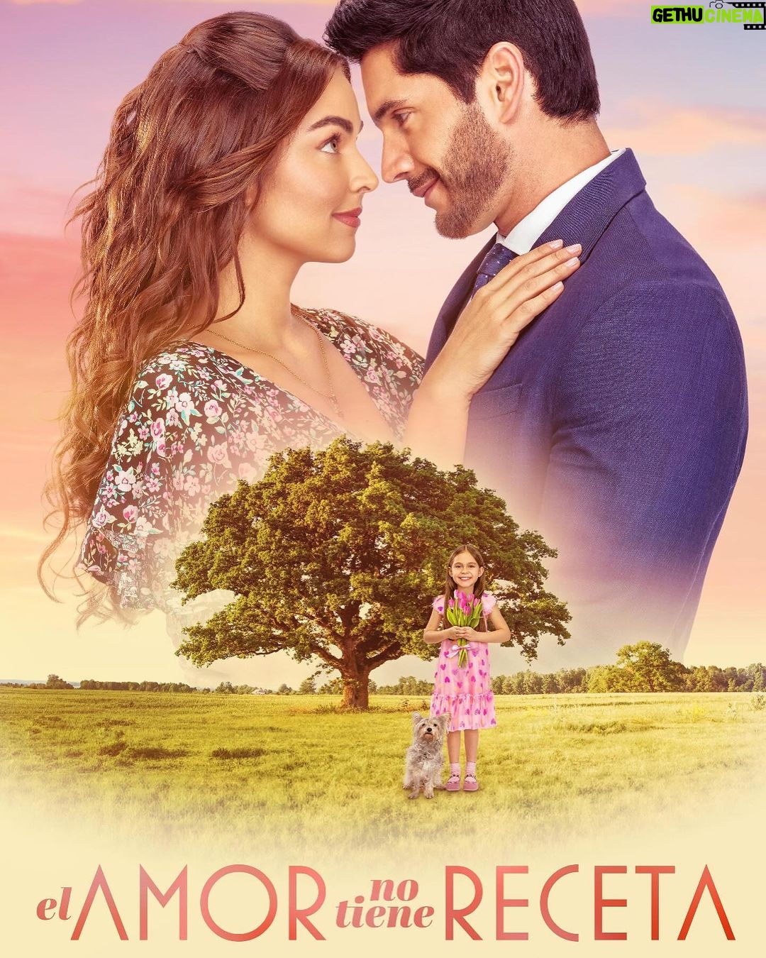 Raúl Coronado Instagram - Estreno 19 de febrero, Lunes a viernes 8:30pm por @canalestrellas @elamornotienerecetaof