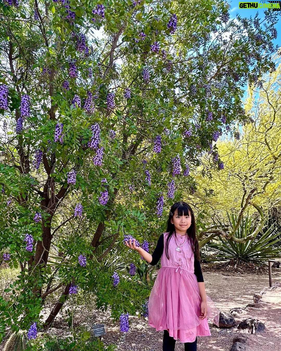 Race Wong Instagram - Thank u for all your prayers. Dayton is recovering well and fever is gone ๐๐ผ Now I donโt find his screaming and crying annoying anymore (at least for now) ๐ Iโm happy to hear them in fact. Itโs so scary when your child goes silent. Be careful what you pray for ๐
#photodump