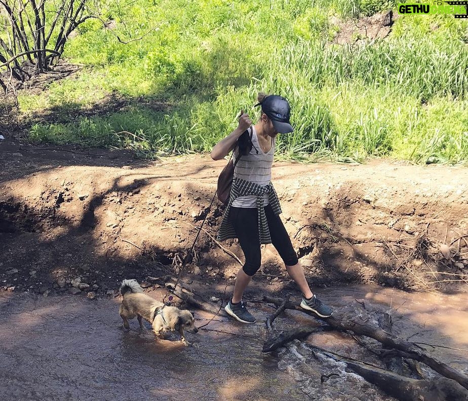Rachael Taylor Instagram - Guys earth day is coming up on April 22nd. If you are in LA come join my mates & I (and our pups!) & help clean up the LA river on April 20th with @folarorg & @postmates who are delivering us sustainable lunch! The LA river used to a 51 mile waterway that was home to bears and trout and trees😳 Folar believes there is a future for the river that works with the city around it. But first, link to register up top! Then we get the trash, then we get the lunch! 🐻🐟🌲💧🌎