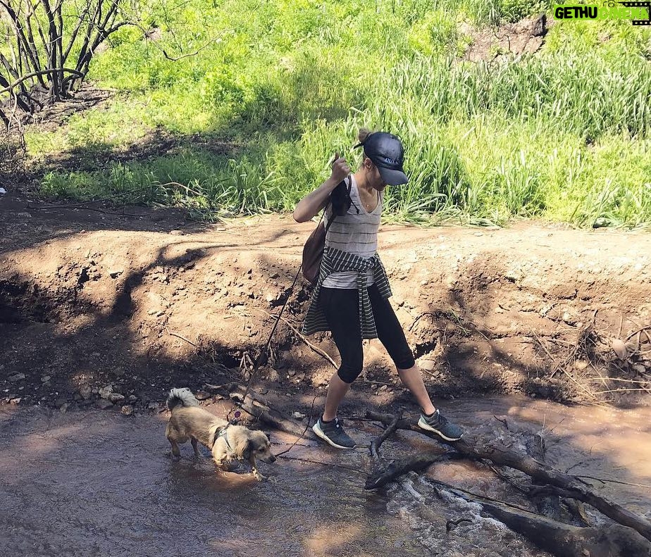 Rachael Taylor Instagram - Guys earth day is coming up on April 22nd. If you are in LA come join my mates & I (and our pups!) & help clean up the LA river on April 20th with @folarorg & @postmates who are delivering us sustainable lunch! The LA river used to a 51 mile waterway that was home to bears and trout and treesπ³ Folar believes there is a future for the river that works with the city around it. But first, link to register up top! Then we get the trash, then we get the lunch! π»ππ²π§π