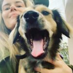 Rachael Taylor Instagram – How could I not become that crazy dog lady with this guy? 🐕 🐕 🐕 
#nationalpetday #rescuedog