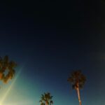 Rachael Taylor Instagram – Beach at night 🌓🌴