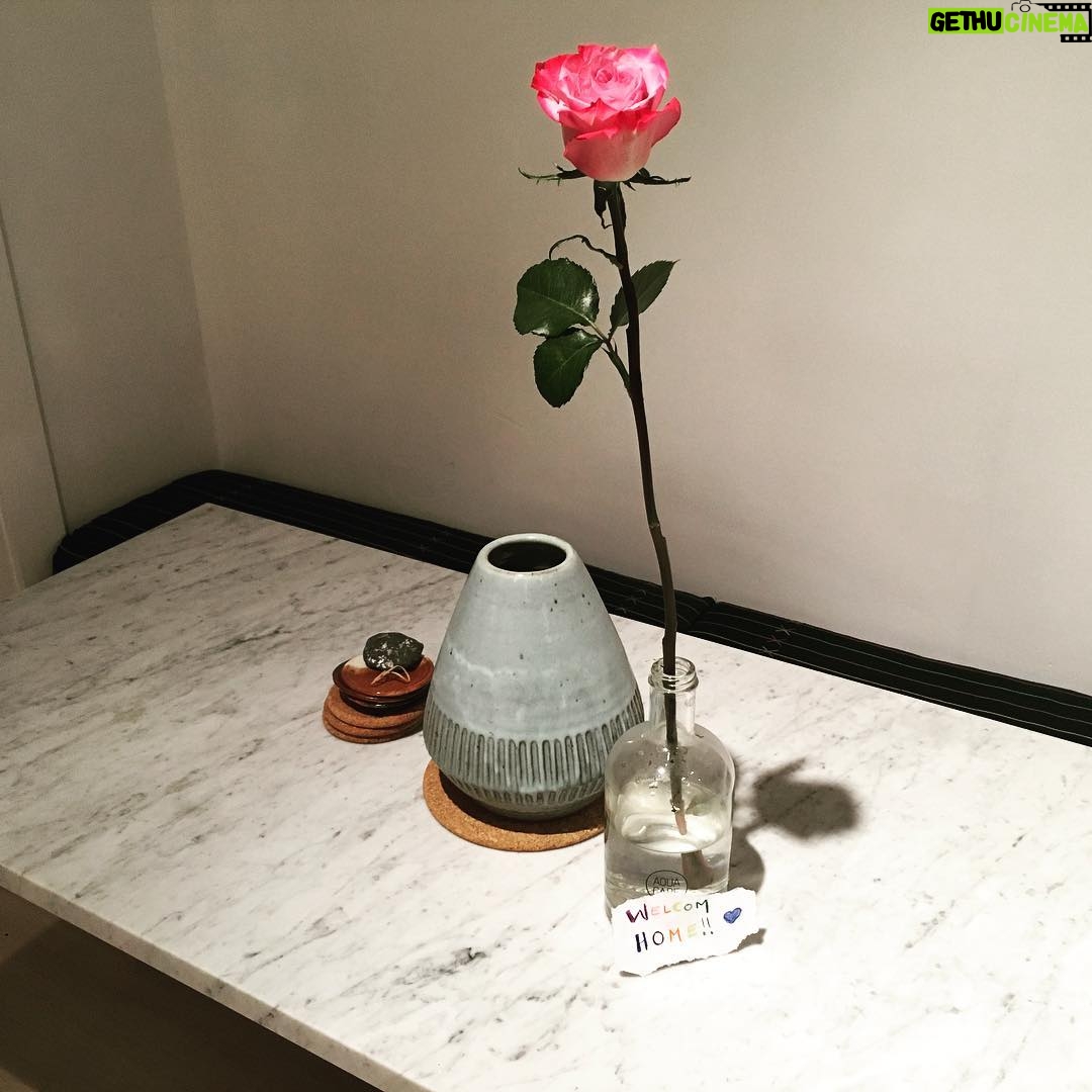 Rachael Taylor Instagram - When your neighbor breaks in to leave a welcom home rose❤️🌹💫@rosierosematheson #lover #burglar