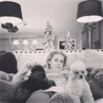 Rachael Taylor Instagram - Thanksgiving food coma but I got 2 x the poodle! 🐶🐶