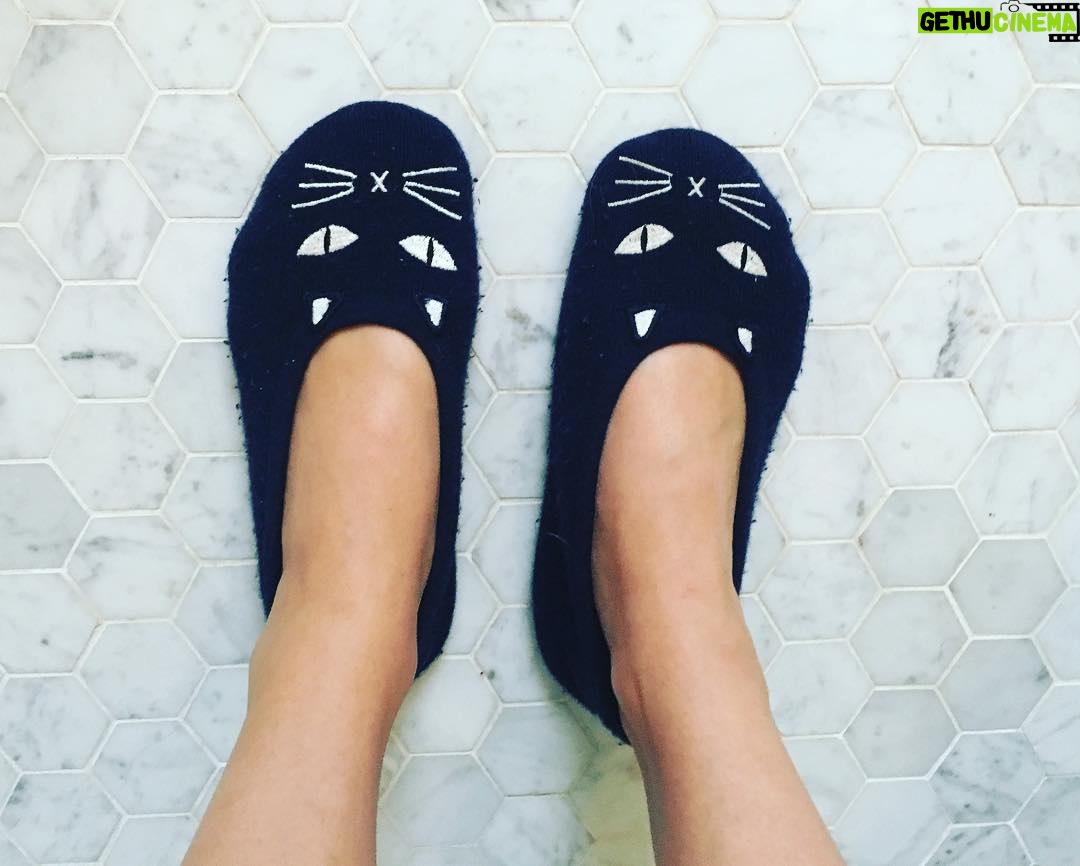 Rachael Taylor Instagram - Reasons to never leave the house - cashmere cat slippers by @banjoandmatilda π¦πΊπ