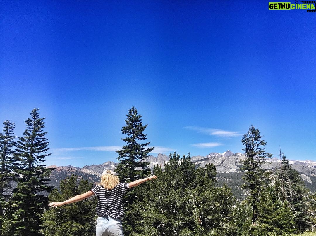 Rachael Taylor Instagram - #friyay 🌲☀️😍