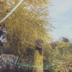 Rachael Taylor Instagram - MELLOW 🌼 📷 @mikepiscitelli Paradise Valley, Arizona