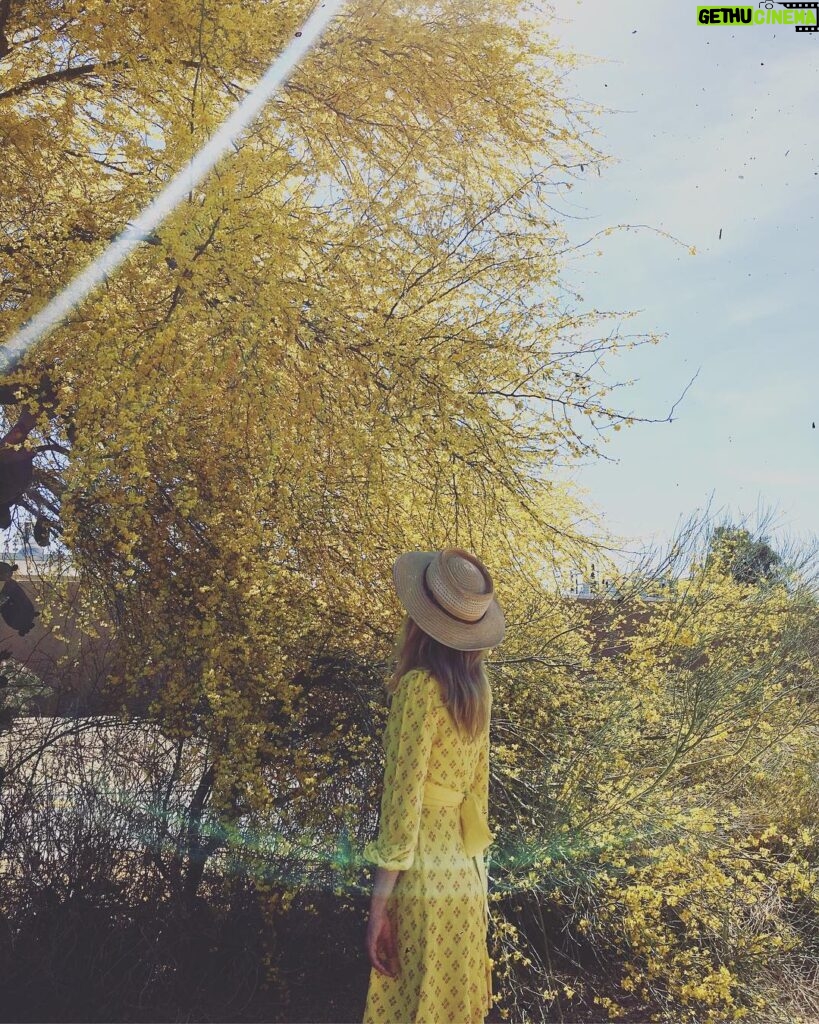 Rachael Taylor Instagram - MELLOW 🌼 📷 @mikepiscitelli Paradise Valley, Arizona