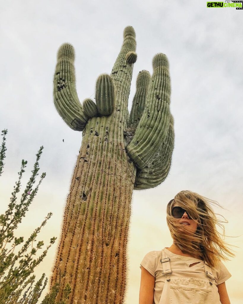 Rachael Taylor Instagram - 🌵🌵🌵 📷 @mikepiscitelli Arizona