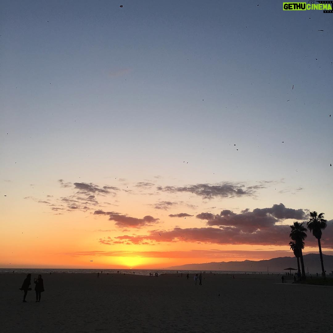 Rachael Taylor Instagram - #nofilter 🙌 🌎 🌊 ☀️💛