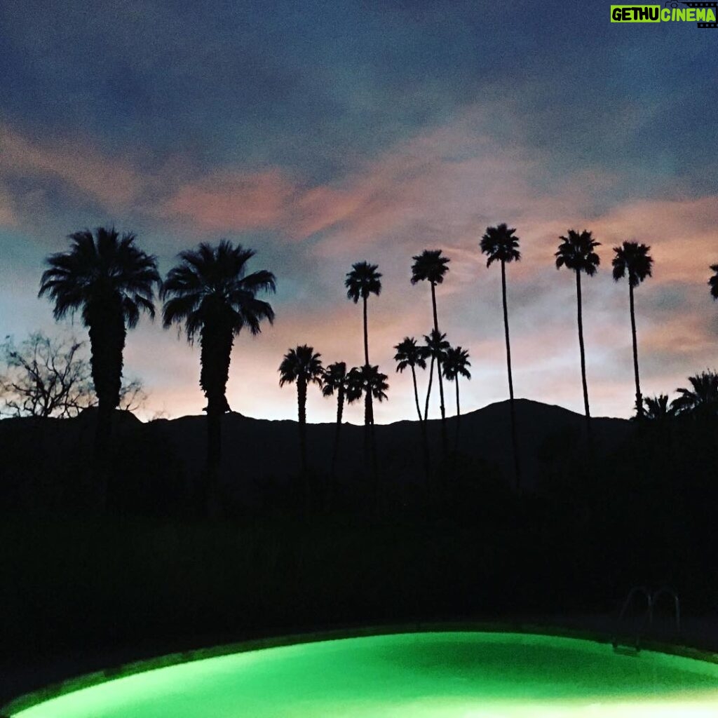 Rachael Taylor Instagram - 🌴🌴🌴🌴🌴🌴 Palm Springs, California