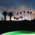 Rachael Taylor Instagram – 🌴🌴🌴🌴🌴🌴 Palm Springs, California