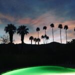 Rachael Taylor Instagram - 🌴🌴🌴🌴🌴🌴 Palm Springs, California