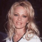 Rachel Kelvington Bostic Instagram - Thank you @perfectionlaboratory for resurrecting my eyebrows. 👀 Dear @pamelaanderson & @gwenstefani, I love you icons both dearly. But your thin ass 90’s eyebrows did us loyal followers dirty! Xo - Taylor Wilde #podcast #prowrestling #host #90s