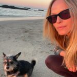 Rachel Roberts Instagram - Dog day afternoon. ❤️🧡💛 #malibuwinters #sendingloveandlight Malibu, California