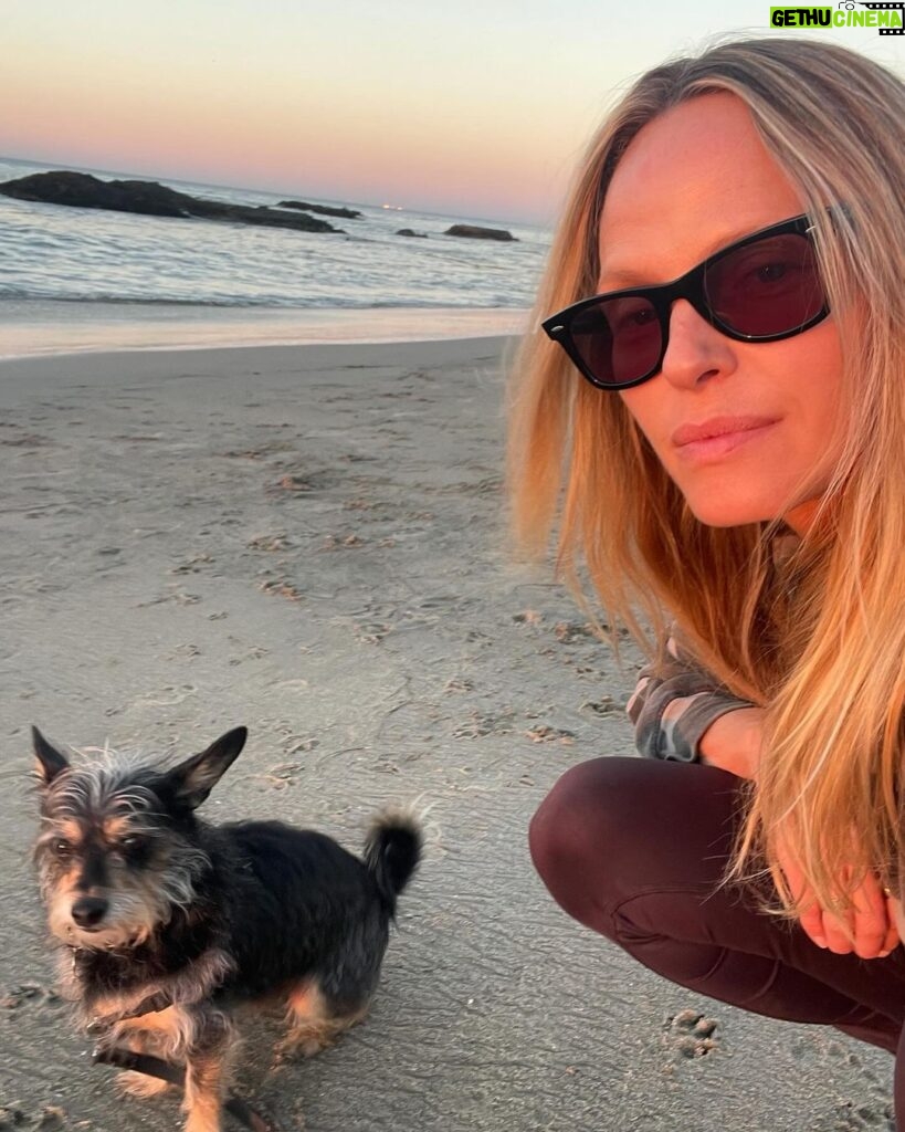 Rachel Roberts Instagram - Dog day afternoon. ❤️🧡💛 #malibuwinters #sendingloveandlight Malibu, California