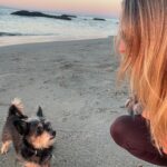 Rachel Roberts Instagram - Dog day afternoon. ❤️🧡💛 #malibuwinters #sendingloveandlight Malibu, California