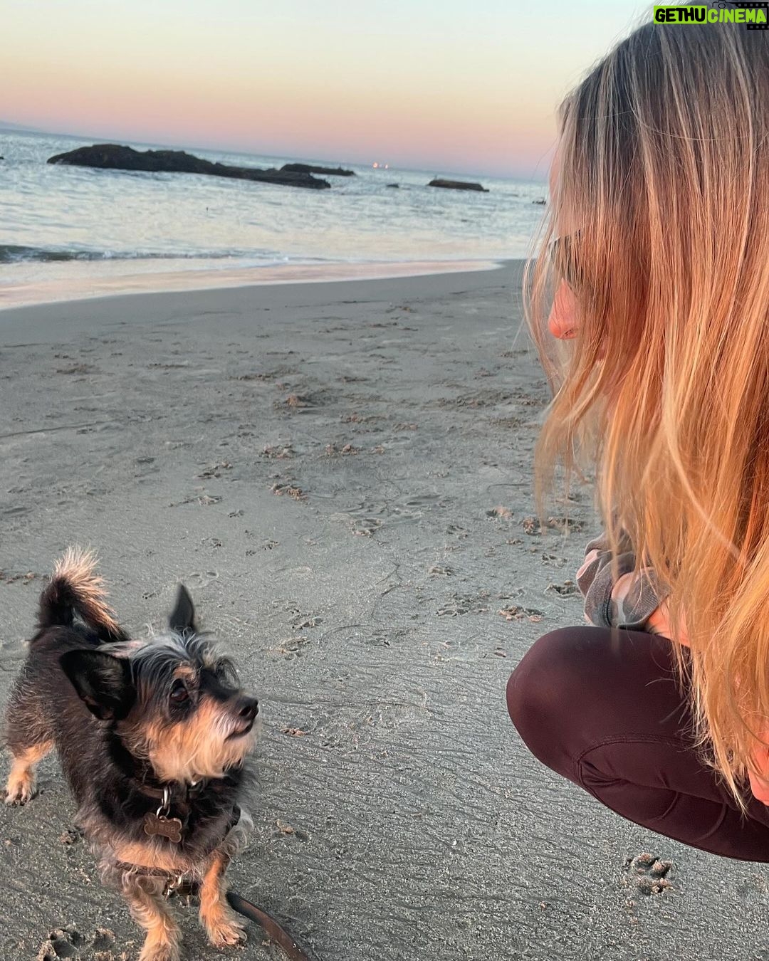 Rachel Roberts Instagram - Dog day afternoon. ❤️🧡💛 #malibuwinters #sendingloveandlight Malibu, California