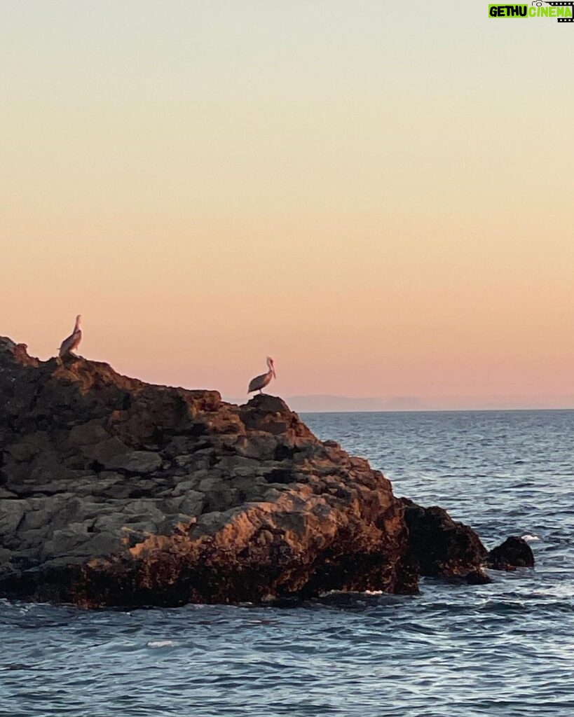 Rachel Roberts Instagram - Dog day afternoon. ❤️🧡💛 #malibuwinters #sendingloveandlight Malibu, California
