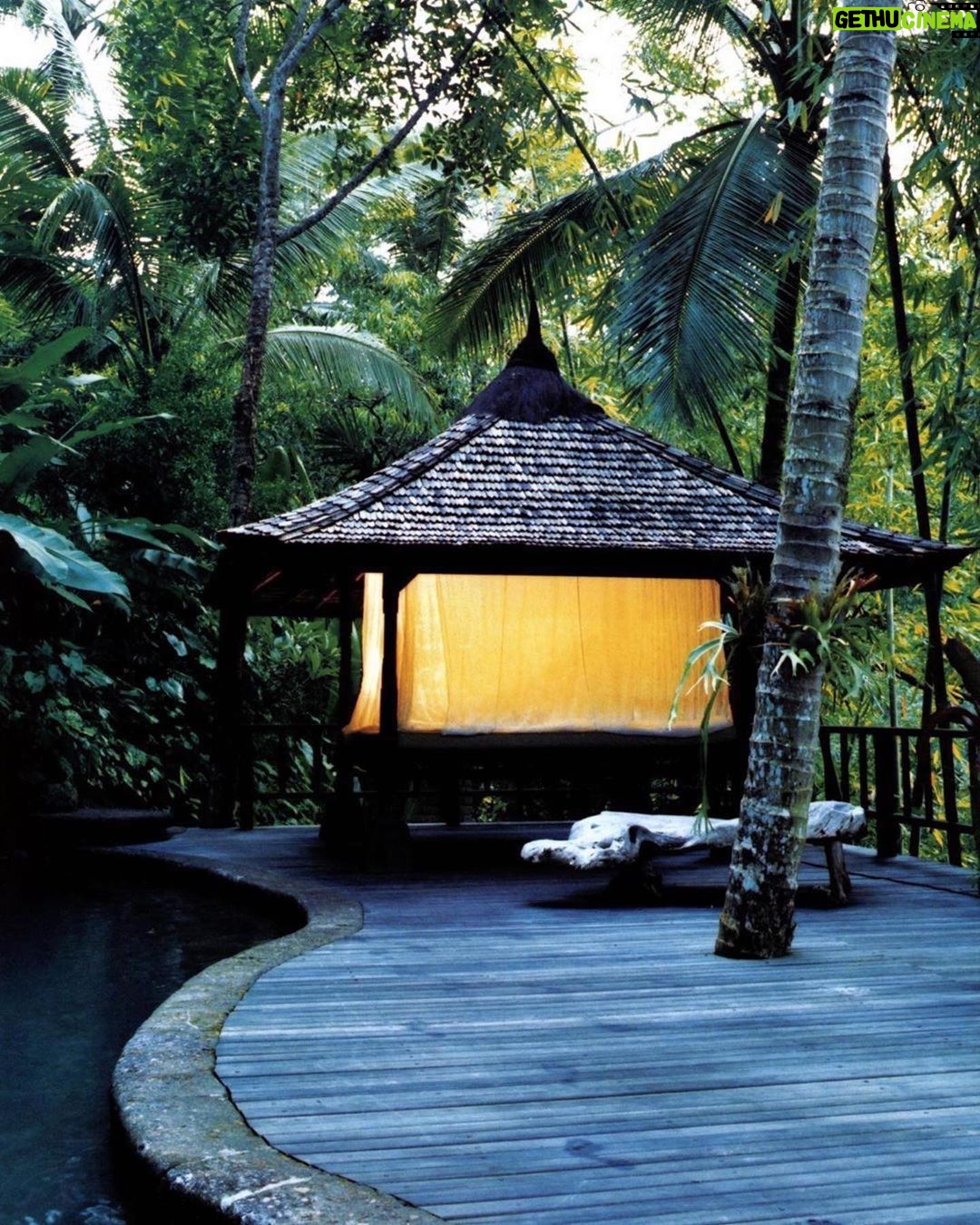 Rachel Roberts Instagram - One of the most beautiful trips of my life. Deep in the jungles of Bali for @britishvogue. 🌿🌱💚🌸🌼🌺 by the one and only @raymondmeier. @tiinalaakkonen @fulviafarolfi @yannickdis #britishvogue #begawangiriestate Thank you for the memory @scannedfashionworld #Repost ・・・ (Scanned Editorials) Editorial: ‘Natural Selection’ Model: #RachelRoberts @realrachelroberts Photographer: #RaymondMeier @raymondmeier Scanned from Vogue UK June 1999 · · · · · #models #supermodels #fashionicon #milanfashionweek #parisfashionweek #newyorkfashionweek #londonfashionweek #catwalk #runway #fashion #readytowear #hautecouture #model #supermodel #fashionicon #runwayicon #topmodels #fashionshow #00supermodel #fashion #style #runwaythrowback #vintagemagazine #vintagevogue #flashbackfriday Begawan Giri