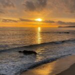 Rachel Roberts Instagram - Beyond grateful to come home to this. 🌅 #malibu #filterbygod #happy2024 Malibu, California
