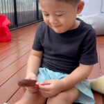 Raditya Dika Instagram - Prof Aksa jarang dikasih es krim. Begitu dikasih, bingung cara makannya gimana. 😅