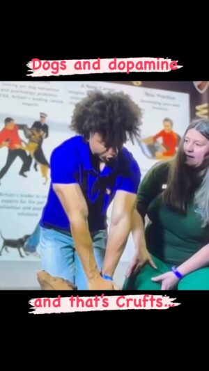 Radzi Chinyanganya Instagram - 25,000 Dogs, 4 days, a constant hit of dopamine, lovely people, brilliant Charities, incredible stories, nail biting agility, record breaking Flyball, all in Birmingham, always on @channel4 … that’s Crufts!!

#dogs #pet #amazing