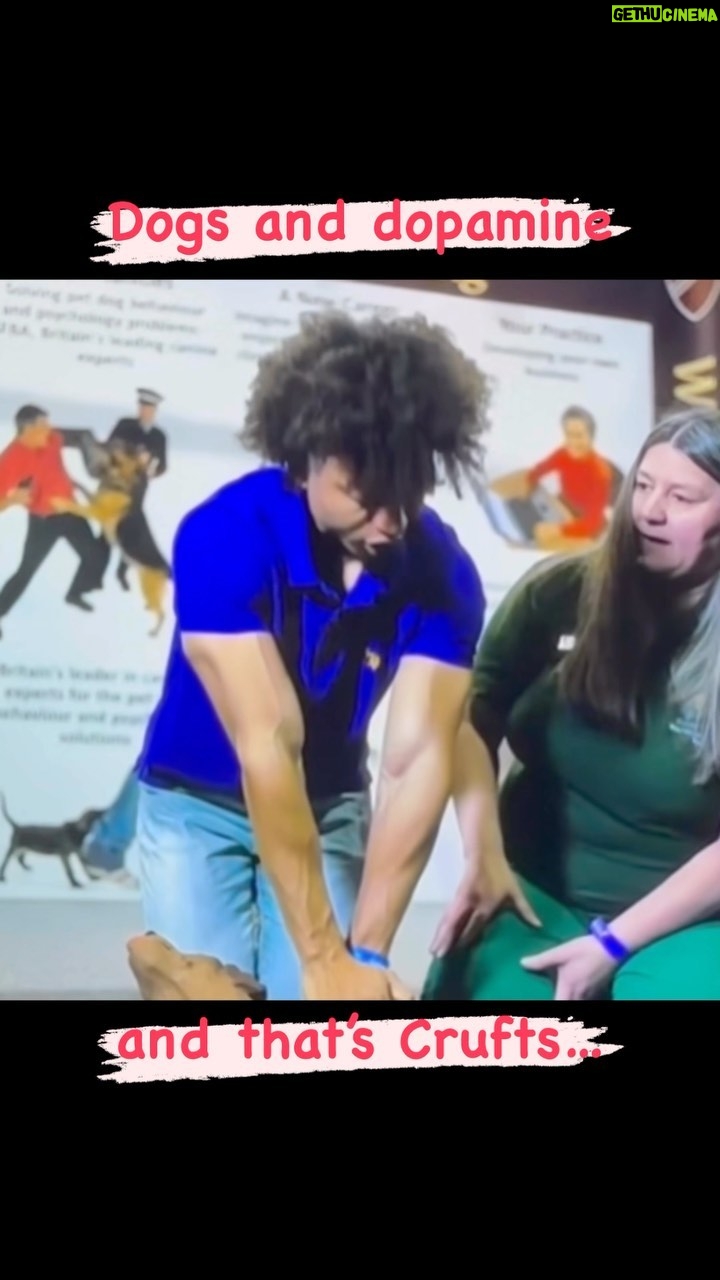 Radzi Chinyanganya - 186 Likes - 25,000 Dogs, 4 days, a constant hit of dopamine, lovely people, brilliant Charities, incredible stories, nail biting agility, record breaking Flyball, all in Birmingham, always on @channel4 … that’s Crufts!!
#dogs #pet #amazing