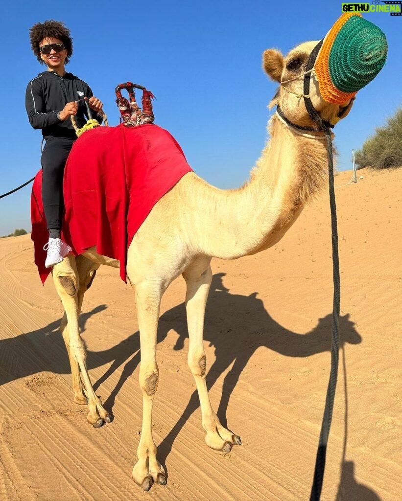 Radzi Chinyanganya Instagram - Riding a camel on hump-day! 🐫🐫🐫🐫🐫🐫🐫 #humpday #dubai #camel #desert #fun #excursion Dubai Desert Safari