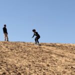 Radzi Chinyanganya Instagram - Dubai Dump… #dubai #saudi #dunes #desert #middleeast #formulae #fun #safari #burjkhalifa Dubai Desert Safari