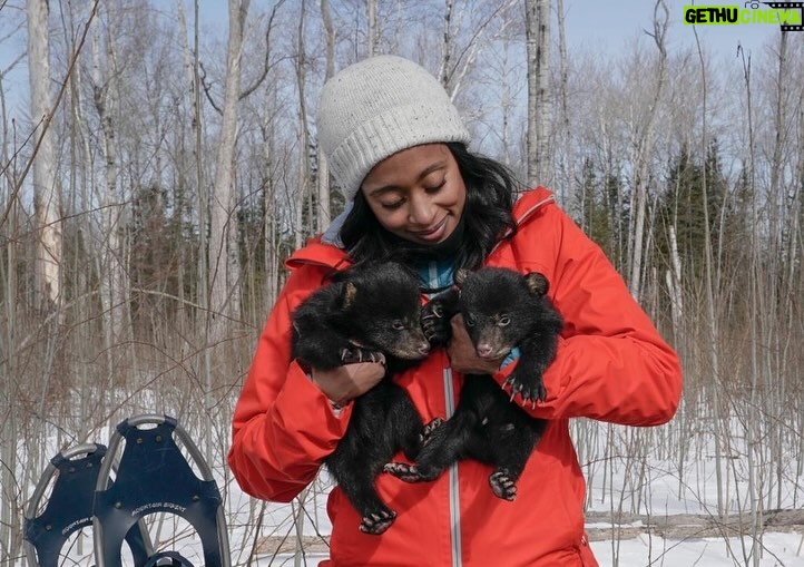 Rae Wynn-Grant Instagram - 20 years ago I walked into my first ecology class as a freshman at @emoryuniversity and It changed my life. But being a scientist in leadership wouldn’t have ever been possible without the grants, funding, and scholarships that helped me grow in this field. I’m proud that @wildkingdomtv is teaming up with @nwfecoleaders to provide the #EcoLeaders grant for students who need extra support to reach their science goals. Applications are now open! Learn more and apply today at the link in my bio 💪🏾