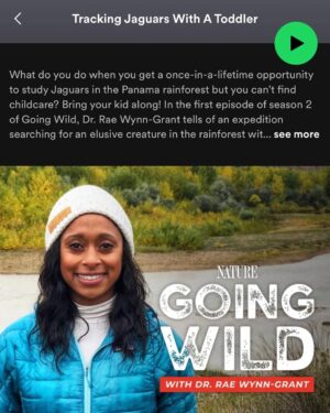 Rae Wynn-Grant Instagram - We made history with Season 2 of my podcast #GoingWild with @pbsnature. The gorgeous orchid as a wrap gift was unexpected, & allowed me a moment to think about how profound of a show we’ve made. I’m Thankful today and every day for the production team from #GreatFeelingStudios, our fearless leader @stevesteinberg (the digital genius Danielle Broza), the leadership over at PBS Nature, and more than anything - to our INCREDIBLE guests who told tales of adventures with wild animals paired with the mental-emotional journey that nobody else saw. Check out these fabulous Black wildlife scientists, our fabulous podcast that is full of surprises, and give these wonderful world-changers a follow ✌🏾 
Do you know someone who should be on Season 3? Drop their name below!