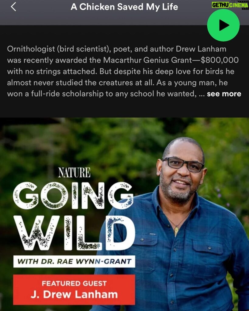 Rae Wynn-Grant Instagram - We made history with Season 2 of my podcast #GoingWild with @pbsnature. The gorgeous orchid as a wrap gift was unexpected, & allowed me a moment to think about how profound of a show we’ve made. I’m Thankful today and every day for the production team from #GreatFeelingStudios, our fearless leader @stevesteinberg (the digital genius Danielle Broza), the leadership over at PBS Nature, and more than anything - to our INCREDIBLE guests who told tales of adventures with wild animals paired with the mental-emotional journey that nobody else saw. Check out these fabulous Black wildlife scientists, our fabulous podcast that is full of surprises, and give these wonderful world-changers a follow ✌🏾 Do you know someone who should be on Season 3? Drop their name below!