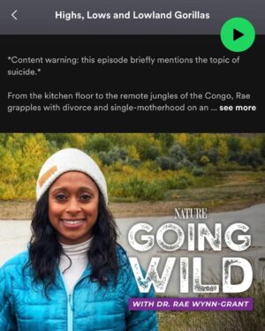 Rae Wynn-Grant Instagram - We made history with Season 2 of my podcast #GoingWild with @pbsnature. The gorgeous orchid as a wrap gift was unexpected, & allowed me a moment to think about how profound of a show we’ve made. I’m Thankful today and every day for the production team from #GreatFeelingStudios, our fearless leader @stevesteinberg (the digital genius Danielle Broza), the leadership over at PBS Nature, and more than anything - to our INCREDIBLE guests who told tales of adventures with wild animals paired with the mental-emotional journey that nobody else saw. Check out these fabulous Black wildlife scientists, our fabulous podcast that is full of surprises, and give these wonderful world-changers a follow ✌🏾 
Do you know someone who should be on Season 3? Drop their name below!