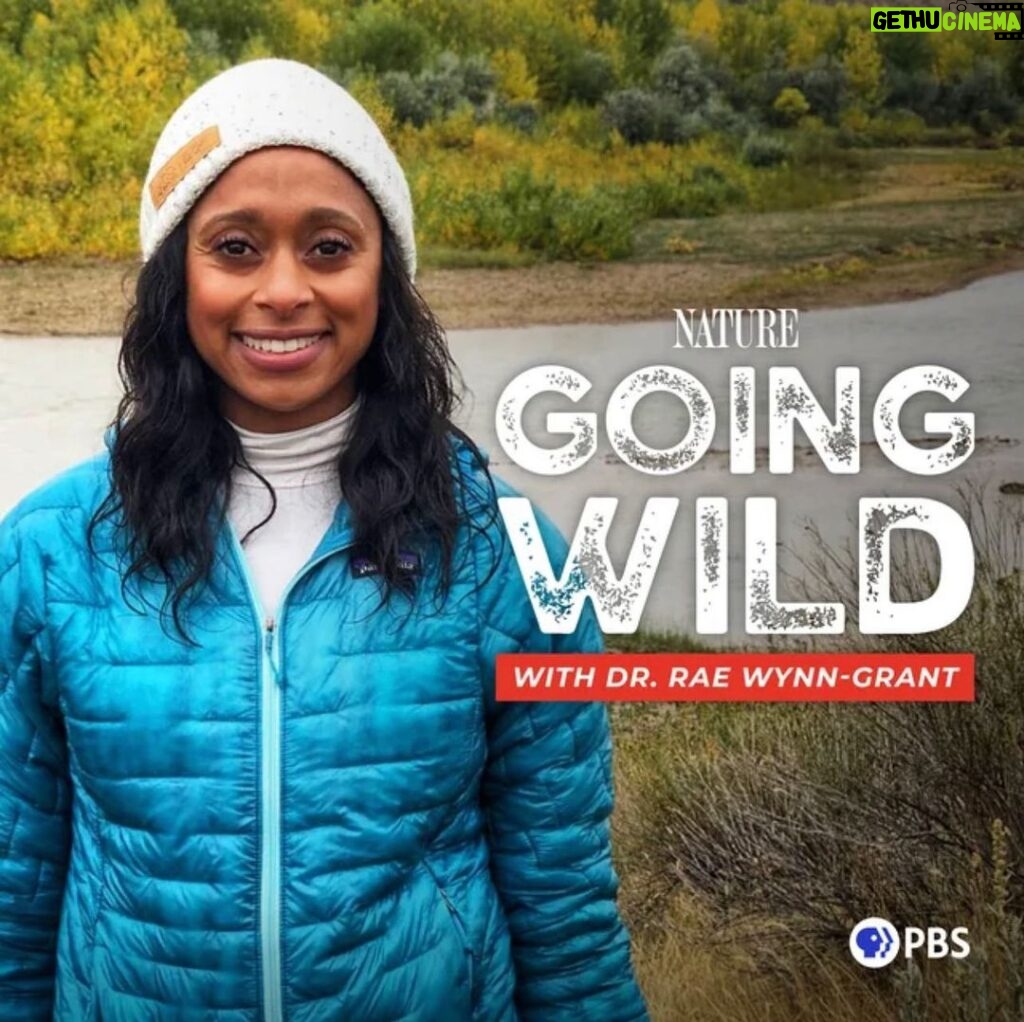 Rae Wynn-Grant Instagram - It’s Season 2 & it’s finally here. The first episode is called “Tracking jaguars with a toddler” and is about the time I took my 2 year old to Panama for fieldwork. And it’s also about mistakes, shame, power, and a biggggg change that started in my life. Listen on @playmorepods or anywhere you get your podcasts 🐻💪🏾💕✨ My Dreams