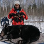 Rae Wynn-Grant Instagram - Mama bear (sedated) got a lil rest while we gave her and her 8 week-old cubs a checkup. Drop some questions in the comments 👇🏾, I have a feeling I can predict a few 😉 🐻 Minnesota