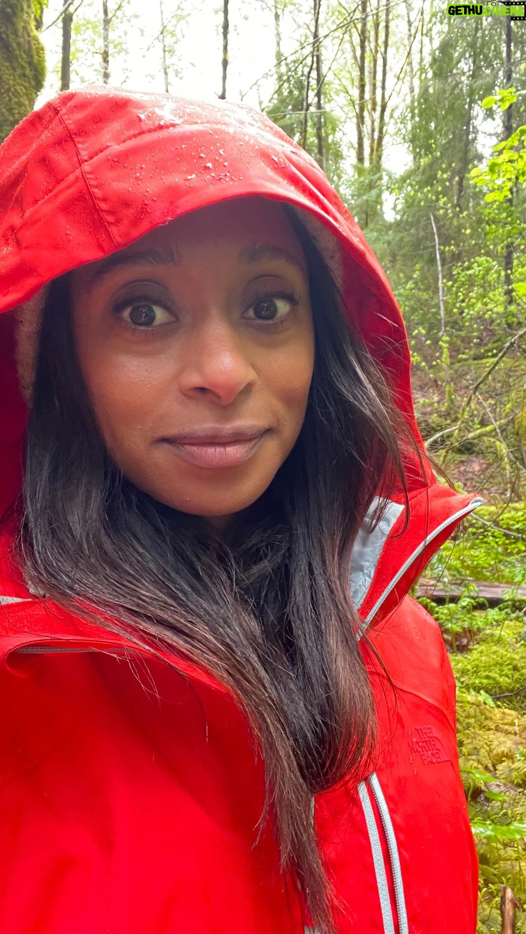 Rae Wynn-Grant Instagram - Live from filming #WildKingdom: These bears can’t wait to take down some fawns - circle of life honey Middle Fork Snoqualmie