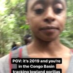 Rae Wynn-Grant Instagram – The last time I was in a rainforest 🦍 Dja, Est, Cameroon