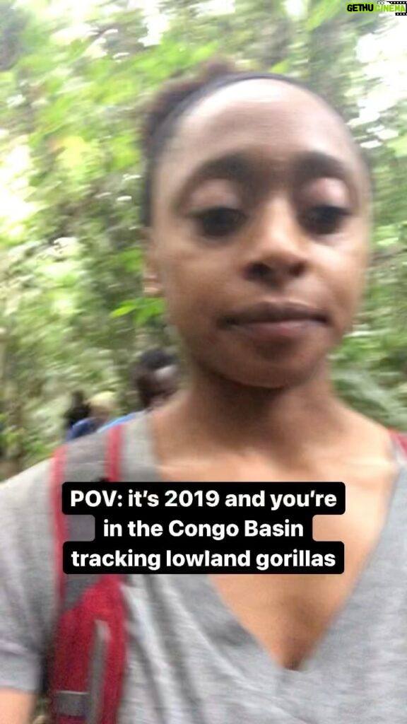 Rae Wynn-Grant Instagram - The last time I was in a rainforest 🦍 Dja, Est, Cameroon