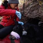 Rae Wynn-Grant Instagram – On camera or off, itās the wildlife for me. @natgeo #WomenOfImpact