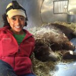 Rae Wynn-Grant Instagram - When you’re a wildlife ecologist but you also need media content 🤪🐻. A couple years ago I challenged myself to finding ways to film the work I do while still DOING it. Not everyone gets a film crew to follow their adventures! Doing wildlife work with a @gopro strapped to my head has become the norm, and I’m grateful that it allows me to better show the world what I’m up to ✨ Photo: Me posing with a sedated mama black bear that was getting dangerously close to town (she’s brown in color but the species is black bear) after taking her vitals and measurements and before releasing her back to the wilderness. Second photo: scratches from her two cubs Genoa, Nevada