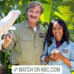 Rae Wynn-Grant Instagram – Sunset thoughts 1 month into @wildkingdomtv being here for the world to see 🎊🥳. Thanks to so many of you for the support, love, and publicity! It’s been a dream come true to talk about science and nature every weekend on @nbc & @peacock 🌲