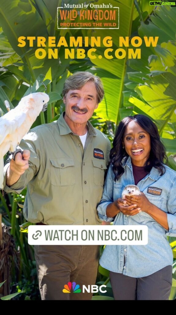 Rae Wynn-Grant Instagram - Sunset thoughts 1 month into @wildkingdomtv being here for the world to see 🎊🥳. Thanks to so many of you for the support, love, and publicity! It’s been a dream come true to talk about science and nature every weekend on @nbc & @peacock 🌲
