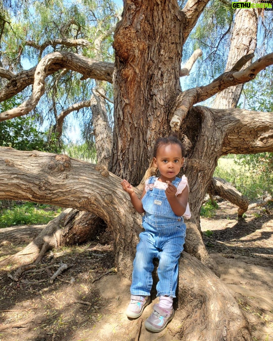 Rae Wynn-Grant Instagram - #OutdoorBaby winning Monday 🌲 Santa Barbara, California