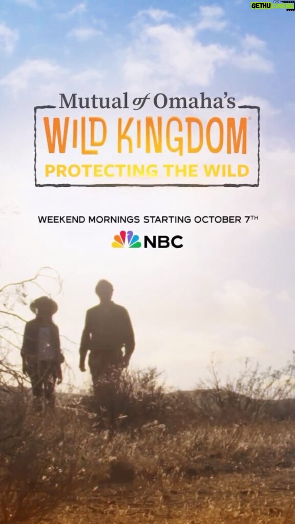 Rae Wynn-Grant Instagram - The countdown is on! Less than 1 month until @wildkingdomtv premiers on @nbc 🙏🏾. Co-hosting this show has been the realization of a childhood dream, and I can’t wait for more of the world to see what we’ve been working on. Nature storytelling has never been better 🌍