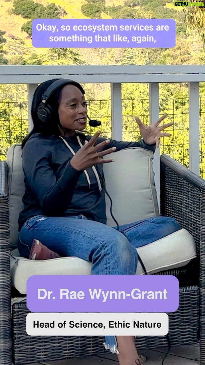 Rae Wynn-Grant Instagram - Can you value the benefits of nature? That’s where Ecosystem Services comes in. Talking to the all-knowing Professor @raewynngrant, one of my all time favorite voices in understanding and protecting nature, newly announced host of NBC’s Wildlife Kingdom, and Head of Science for Ethic Nature. Here we chat about Ecosystem Services, a topic that comes up more and more as people realize what we’ll be losing if we don’t stop biodiversity from declining at the current rate it is falling (which is our goal here at Ethic Nature): • Ecosystem services are vital for human wellbeing and survival as they provide essential benefits like clean air, freshwater, fertile soils, climate regulation, and pollination, all of which underpin our food security and health. • They also hold immense economic value: for example, pollination services from insects are estimated to contribute over $200 billion to the global economy annually, while nature-based solutions can be cost-effective alternatives to engineered infrastructure, saving governments billions of dollars. • Lastly, these services play a key role in cultural and social contexts, offering recreational, spiritual, and educational experiences that enrich human lives, promote community cohesion, and can drive sustainable tourism. #naturefinance #ecosystemservices #climatefinance #climate #nature