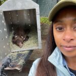 Rae Wynn-Grant Instagram – The tiniest taste from the selfie folder #2022 ✌🏾