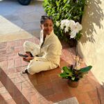 Rae Wynn-Grant Instagram - We made history with Season 2 of my podcast #GoingWild with @pbsnature. The gorgeous orchid as a wrap gift was unexpected, & allowed me a moment to think about how profound of a show we’ve made. I’m Thankful today and every day for the production team from #GreatFeelingStudios, our fearless leader @stevesteinberg (the digital genius Danielle Broza), the leadership over at PBS Nature, and more than anything - to our INCREDIBLE guests who told tales of adventures with wild animals paired with the mental-emotional journey that nobody else saw. Check out these fabulous Black wildlife scientists, our fabulous podcast that is full of surprises, and give these wonderful world-changers a follow ✌🏾 Do you know someone who should be on Season 3? Drop their name below!