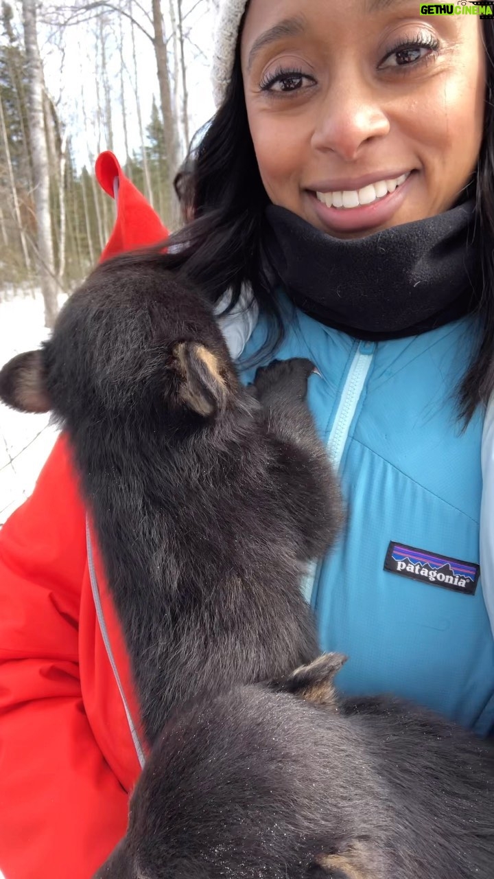 Rae Wynn-Grant Instagram - Best part of my job, hands down 🐻