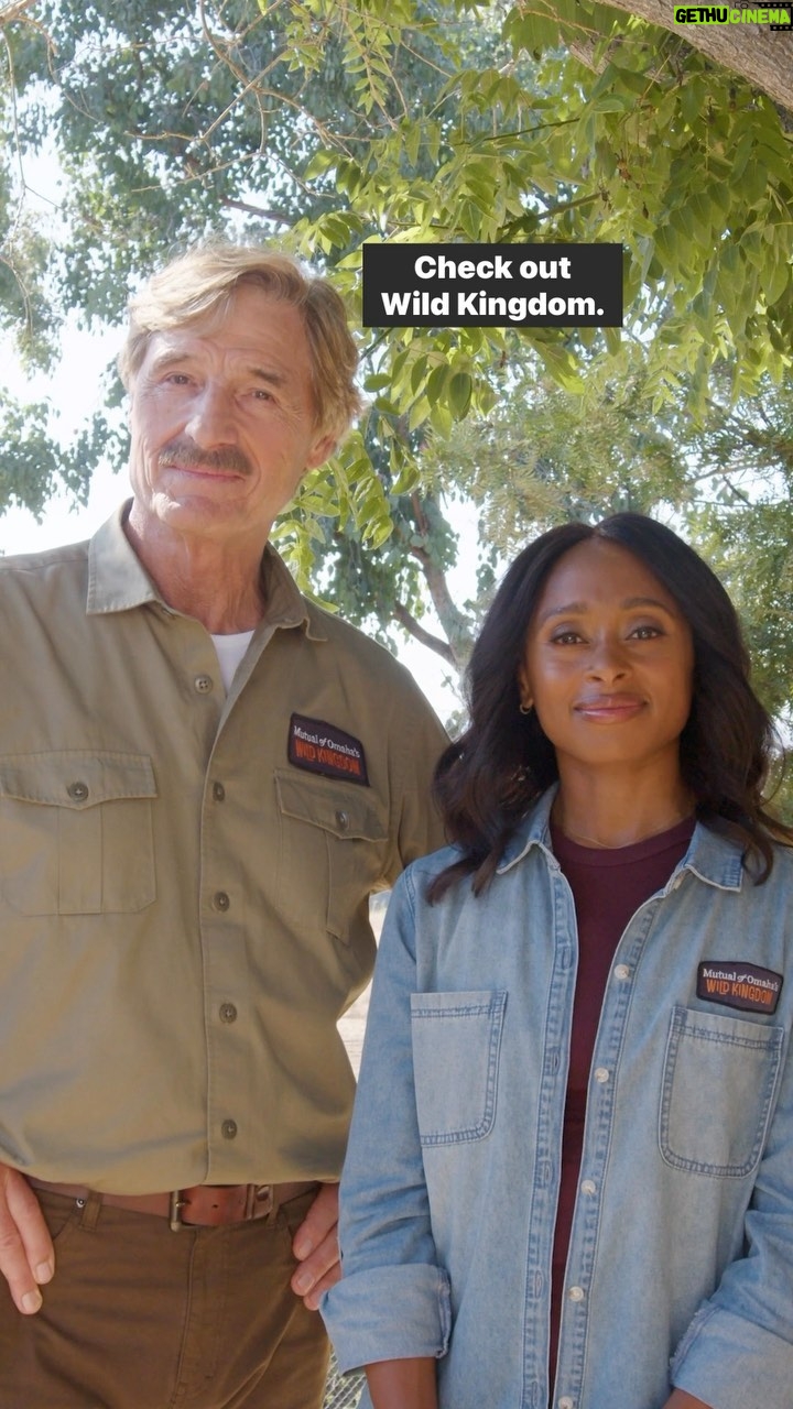 Rae Wynn-Grant Instagram - Want to help wildlife but don’t know where to get started? Co-Hosts @peterwgros and @raewynngrant have a special message for you this World Wildlife Conservation Day. Watch to see how you can help conserve wildlife. #nationalwildlifeconservationday #conservation #wildlifeconservation #themoreyouknow #wildkingdom